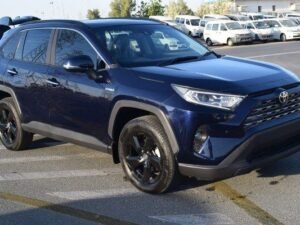 2020 TOYOTA RAV4 Blue
